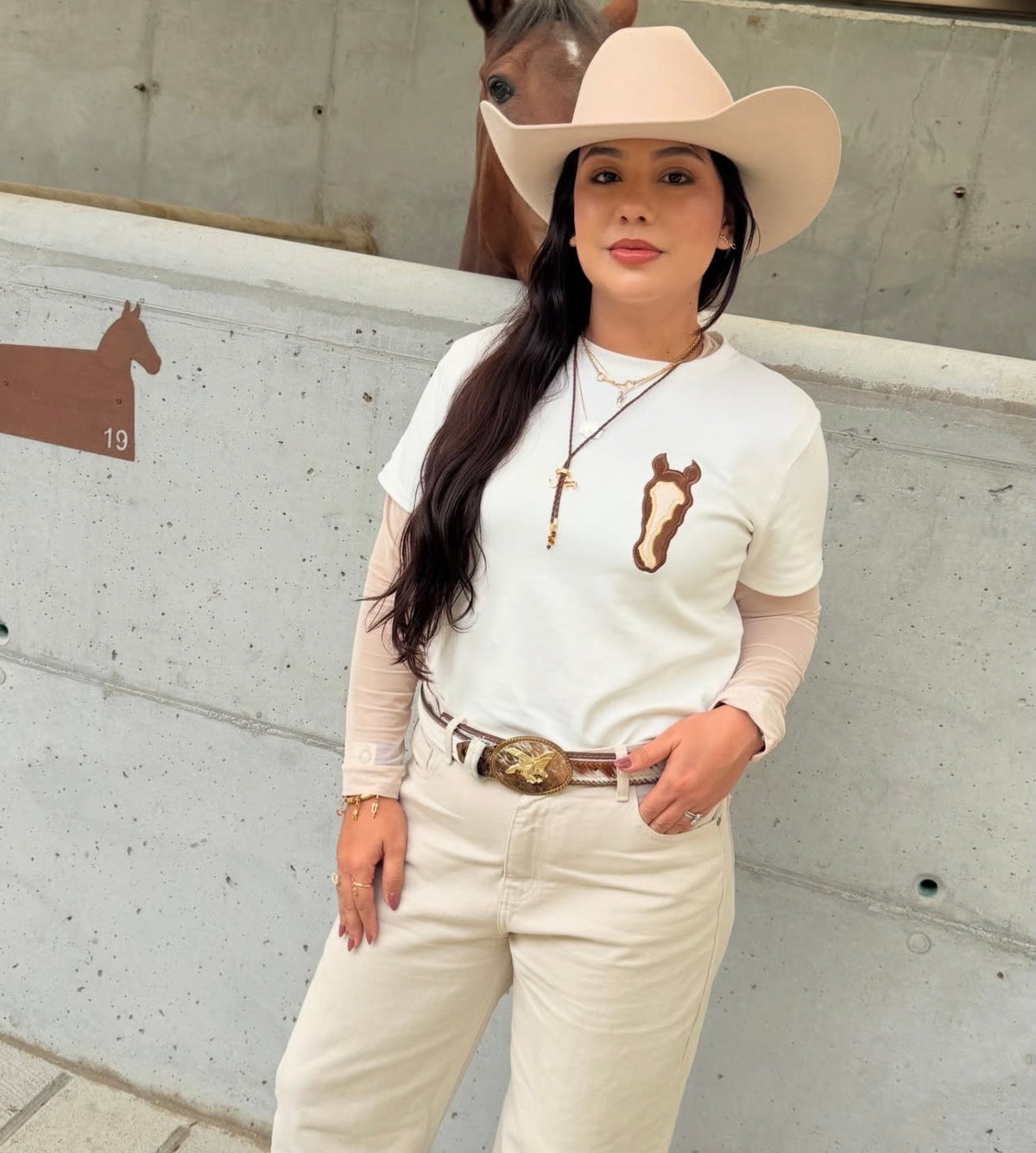 CABALLO CRIOLLO