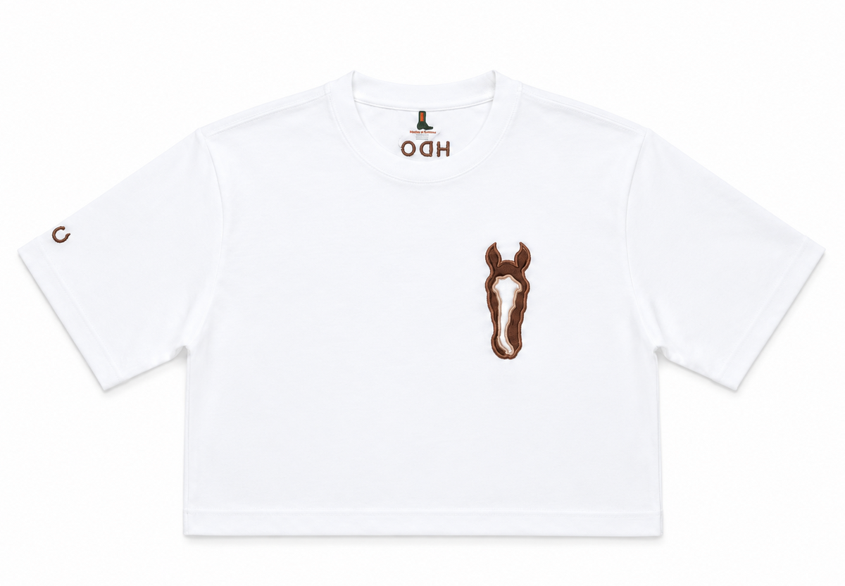 Camiseta corta diamante